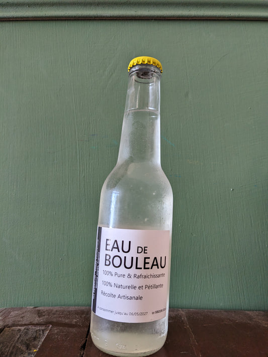 Eau de bouleau pétillante